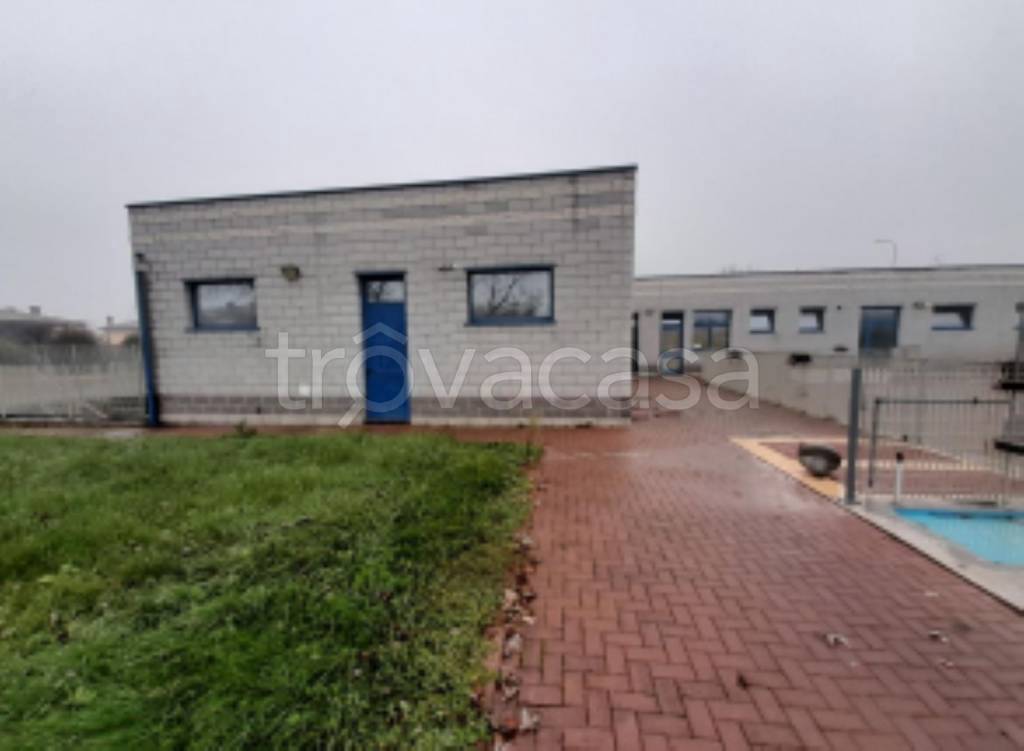 immagine annuncio 8 di 11