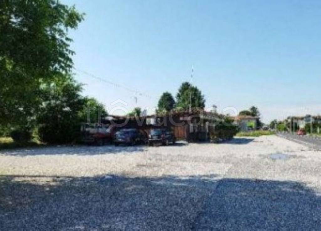 immagine annuncio 3 di 11