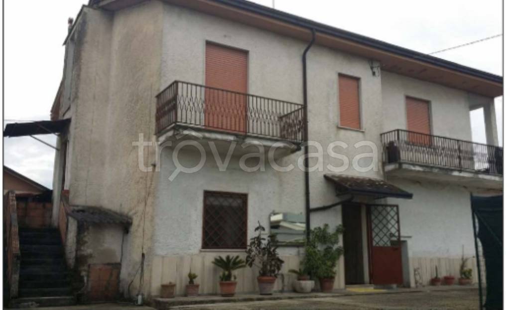 immagine annuncio 5 di 11