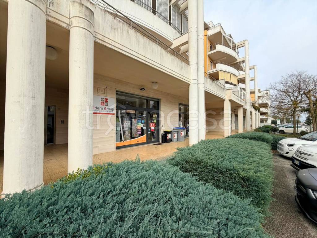 immagine annuncio 1 di 2