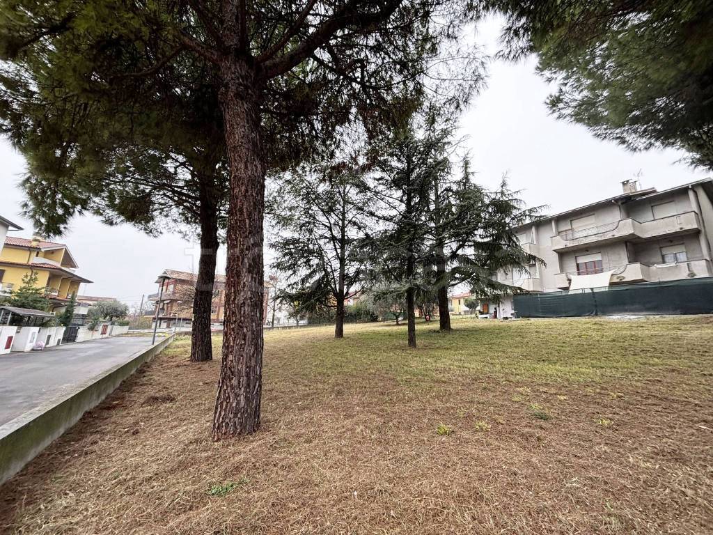 immagine annuncio 1 di 6