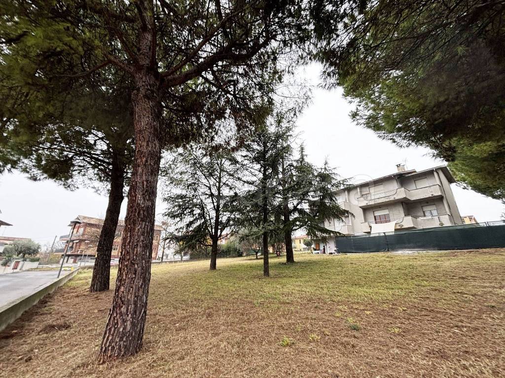 immagine annuncio 2 di 6