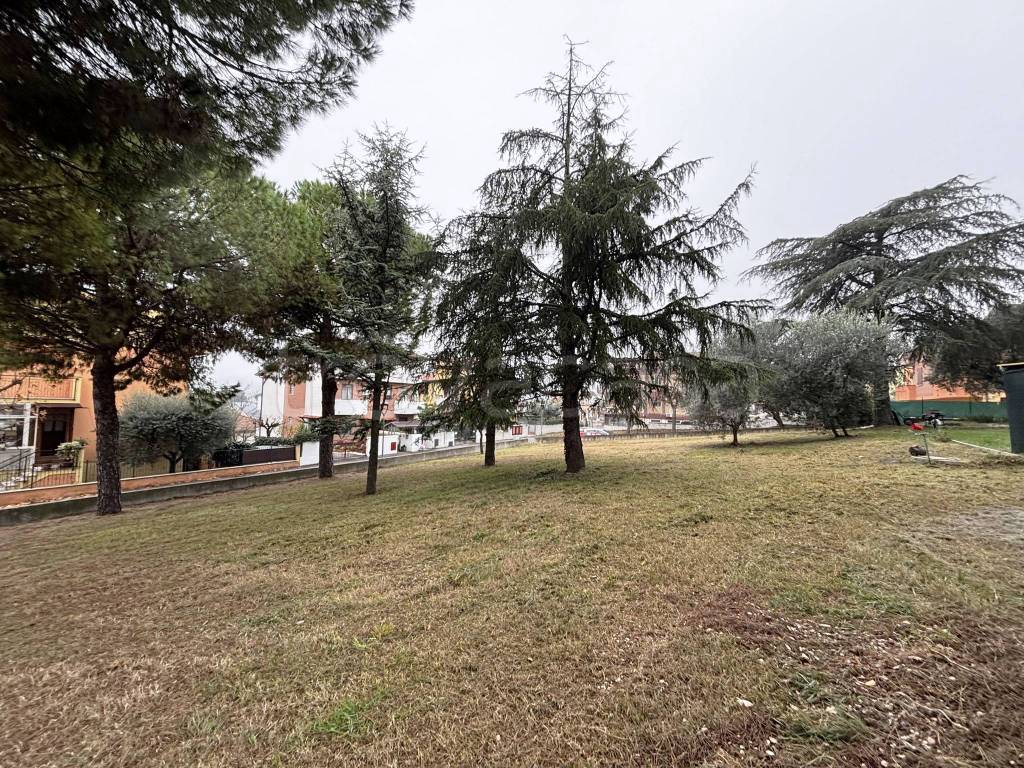 immagine annuncio 3 di 6