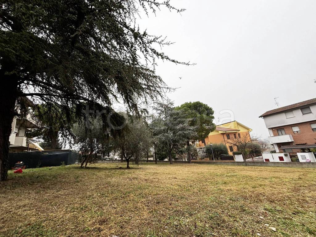 immagine annuncio 4 di 6