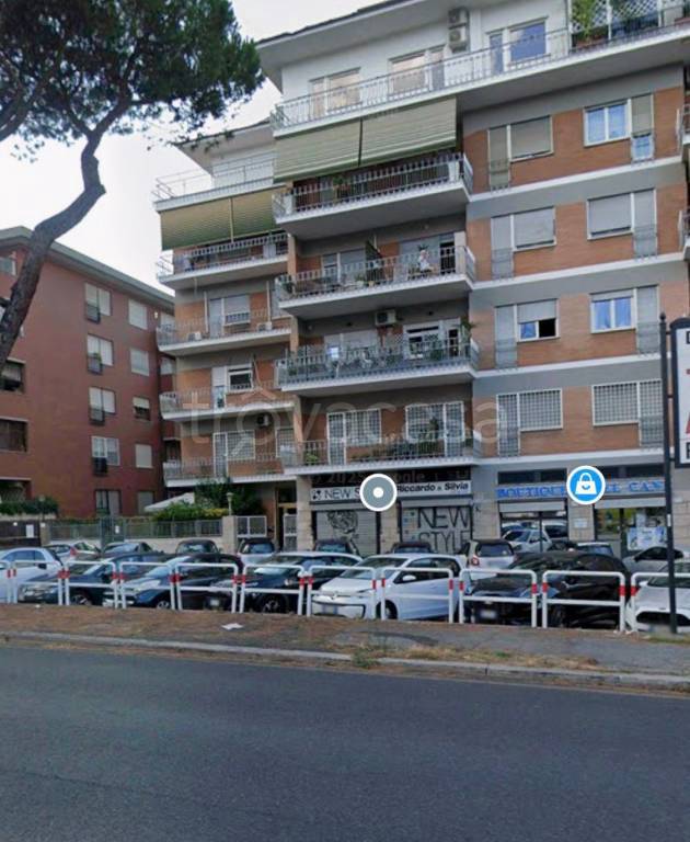 immagine annuncio 14 di 15