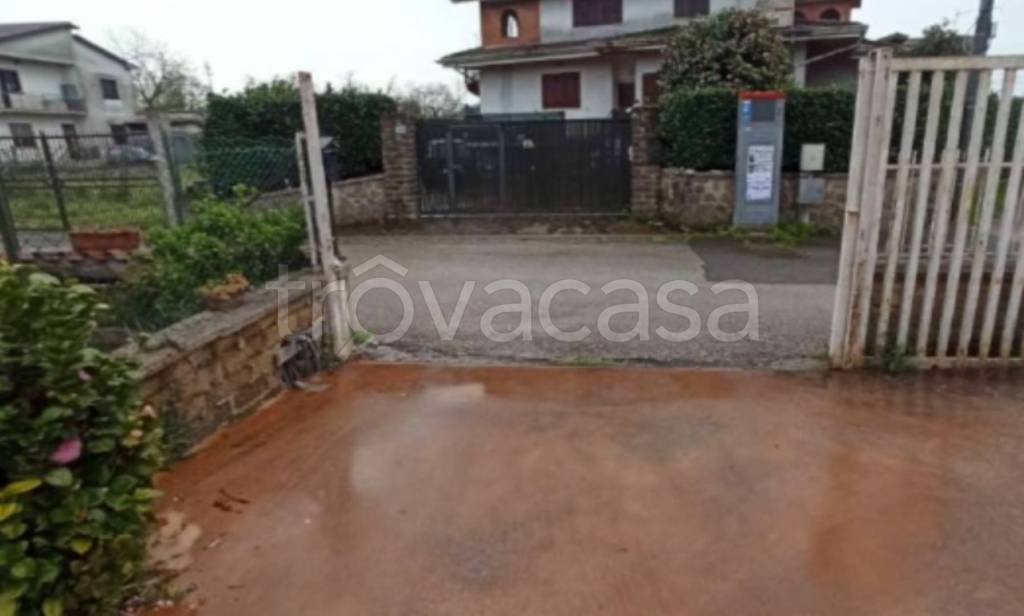 immagine annuncio 4 di 12