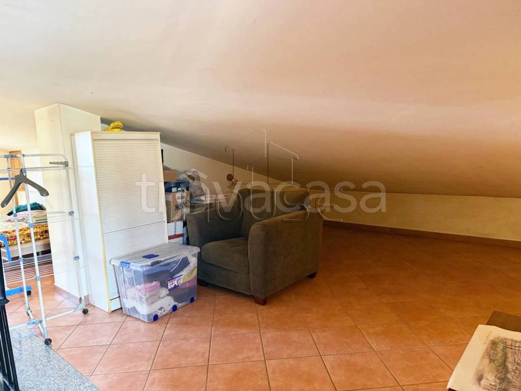 immagine annuncio 9 di 14