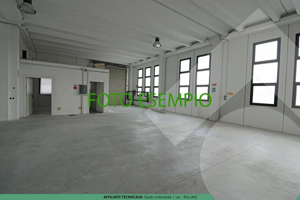 immagine annuncio 3 di 11