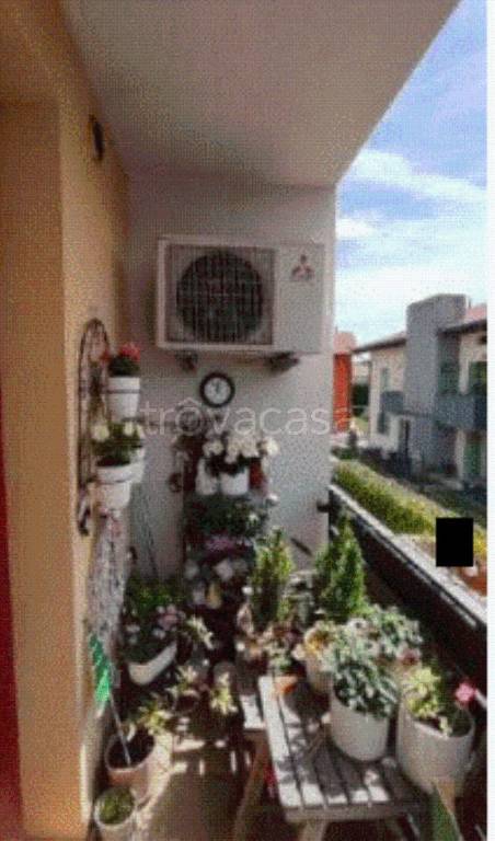 immagine annuncio 7 di 13