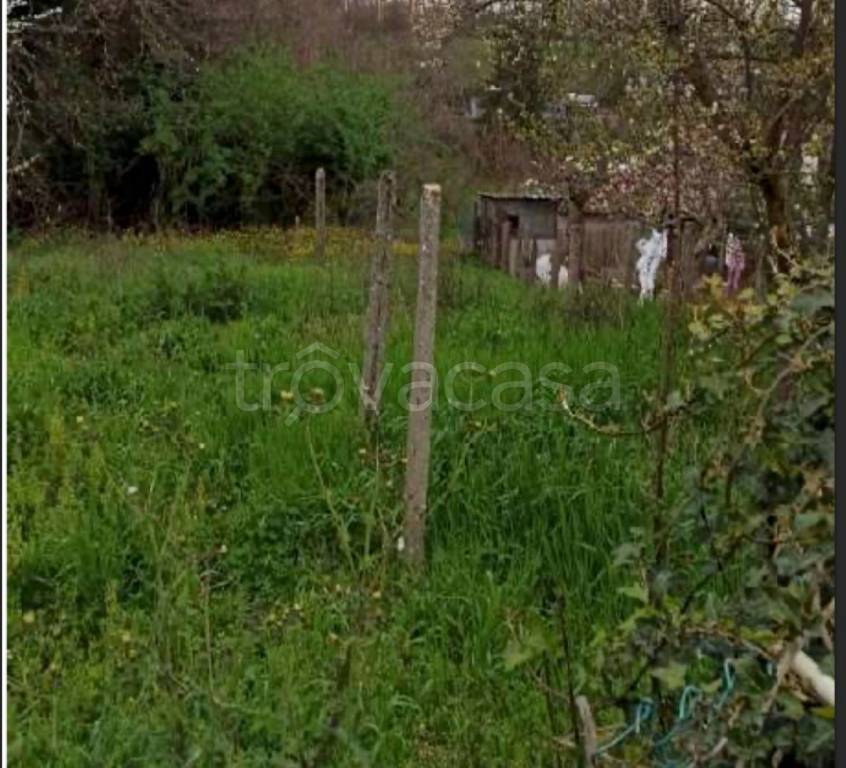 immagine annuncio 2 di 12