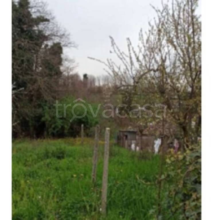 immagine annuncio 4 di 12