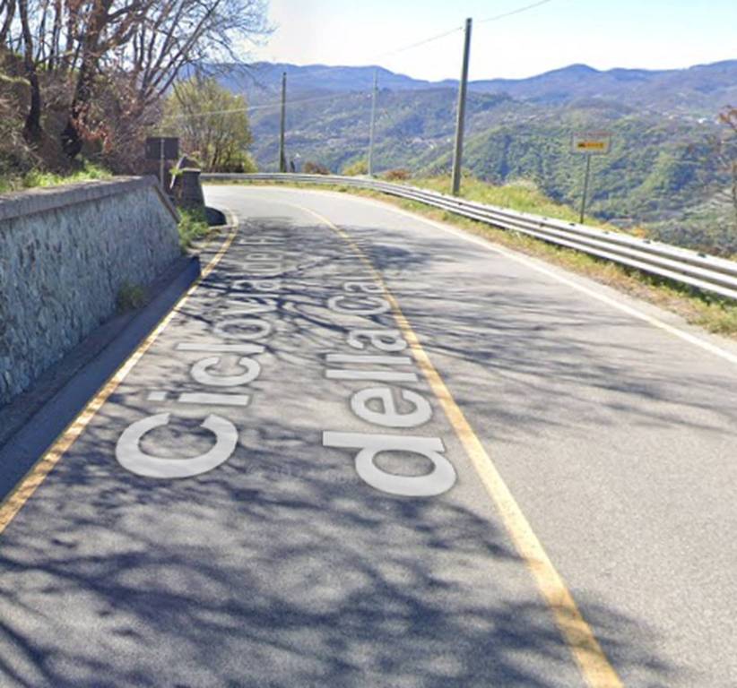 immagine annuncio 5 di 12