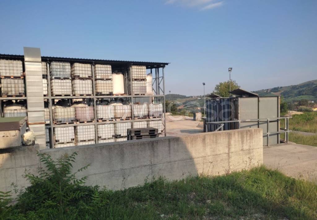 immagine annuncio 1 di 11