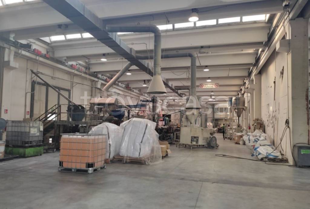 immagine annuncio 5 di 11