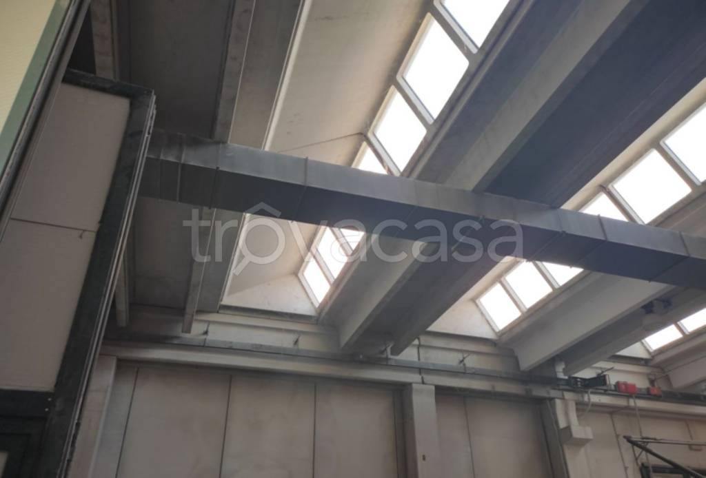 immagine annuncio 6 di 11