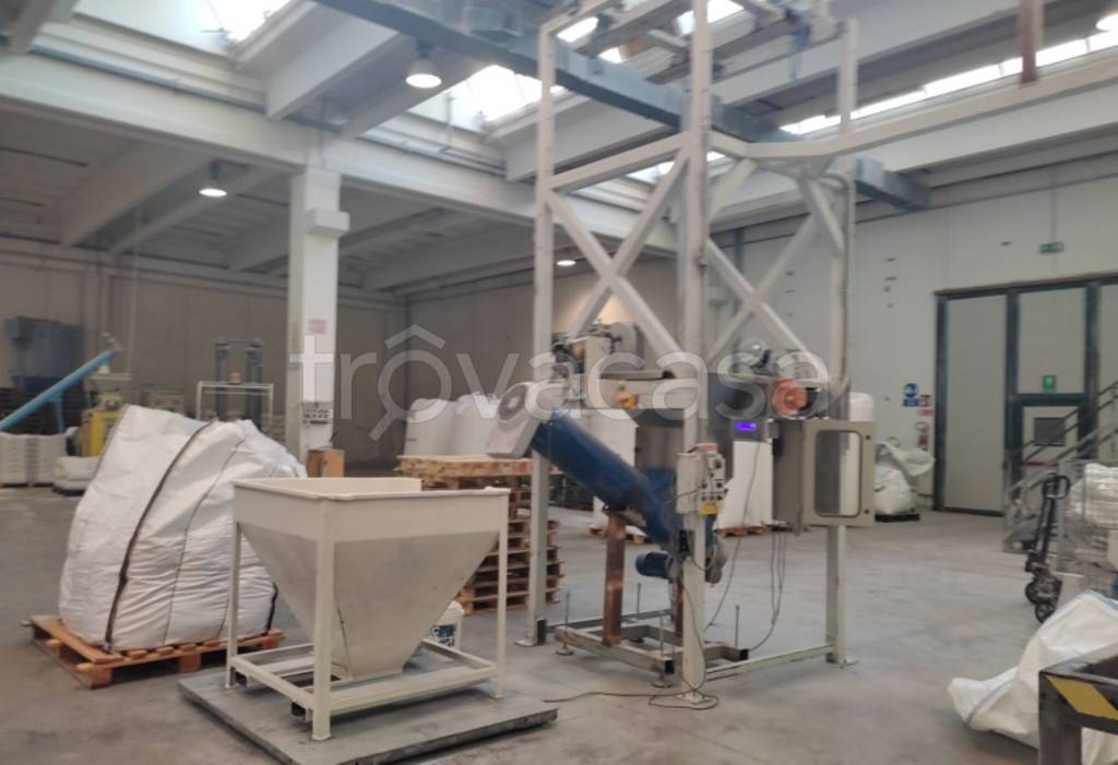 immagine annuncio 9 di 11