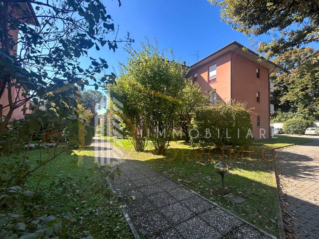 immagine annuncio 7 di 13