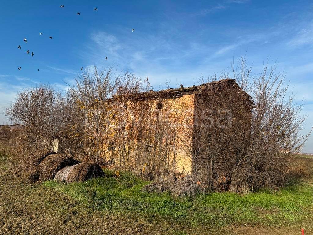 immagine annuncio 4 di 8