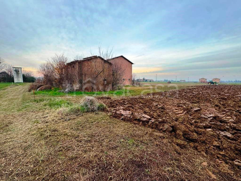 immagine annuncio 5 di 8