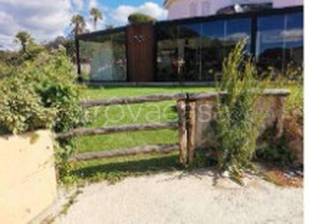 immagine annuncio 9 di 12