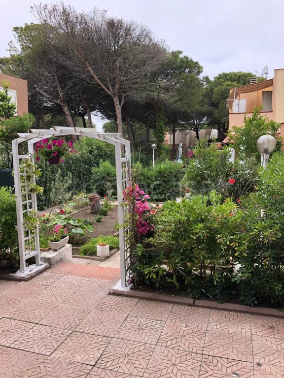 immagine annuncio 12 di 14