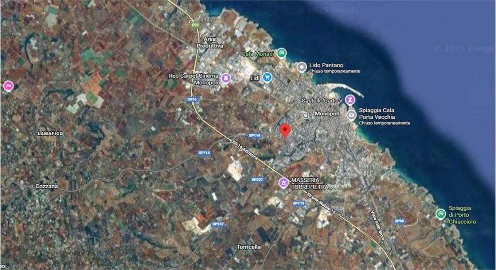 immagine annuncio 14 di 15