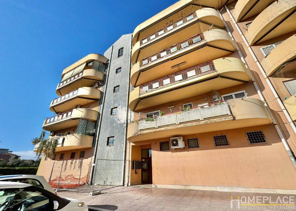 immagine annuncio 12 di 13