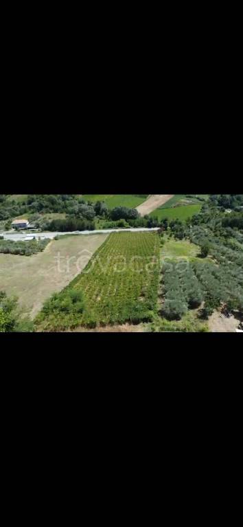 immagine annuncio 11 di 13