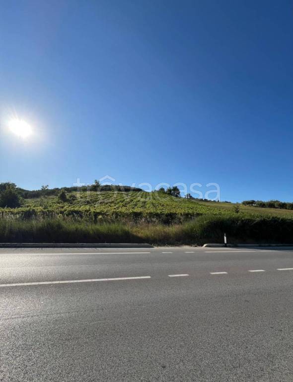 immagine annuncio 12 di 13