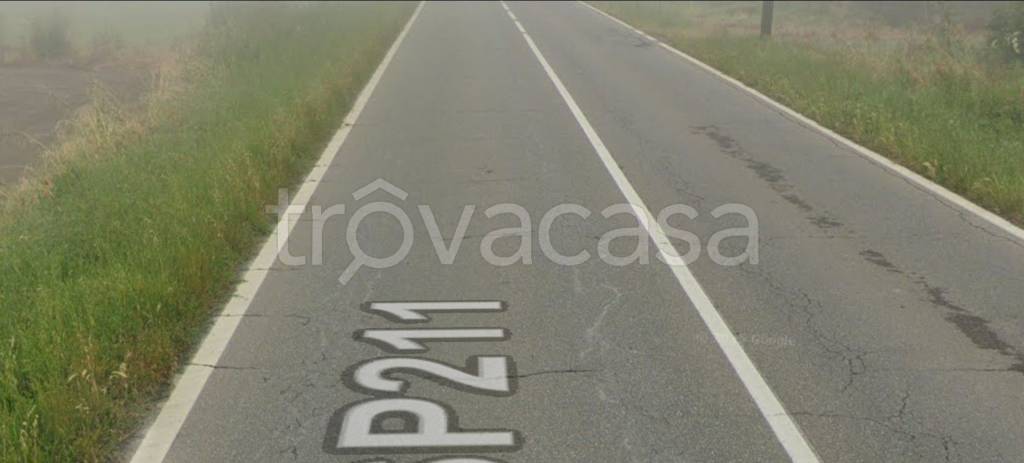 immagine annuncio 9 di 11