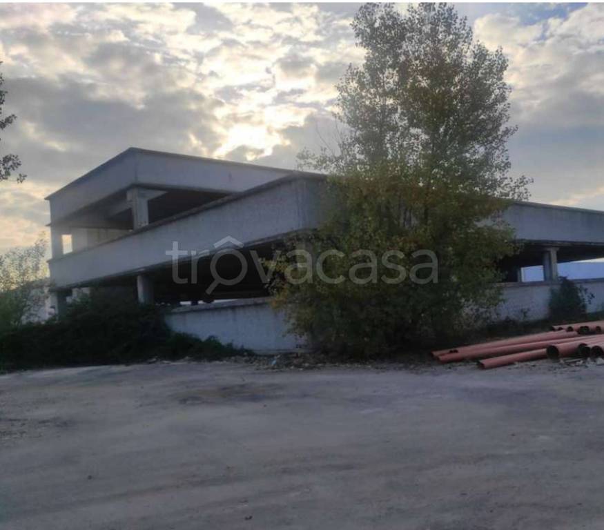 immagine annuncio 2 di 13