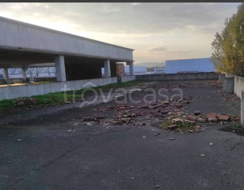 immagine annuncio 4 di 12