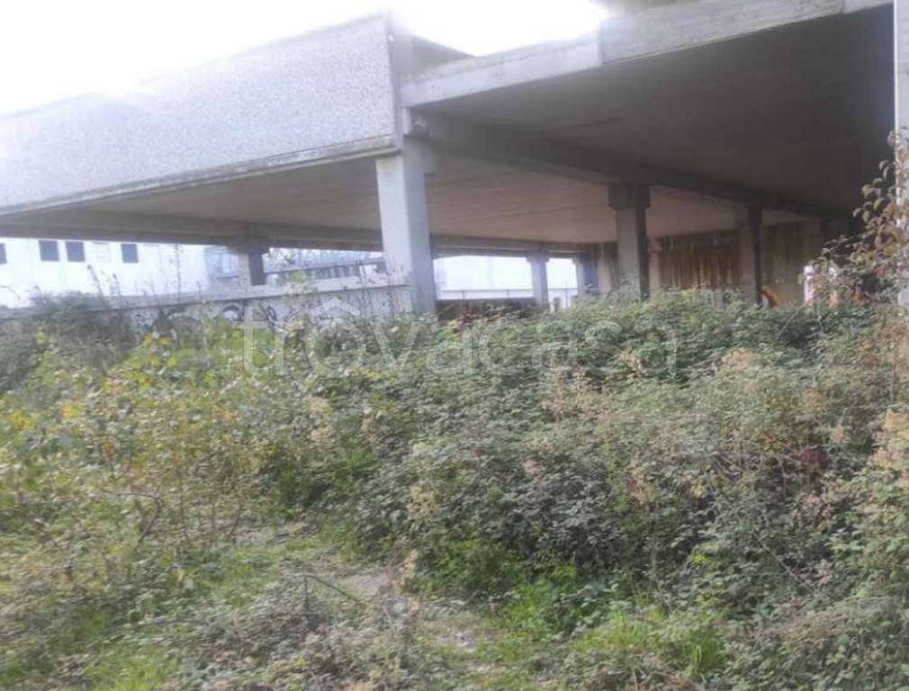 immagine annuncio 9 di 12