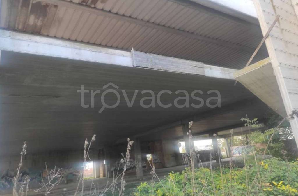 immagine annuncio 10 di 12