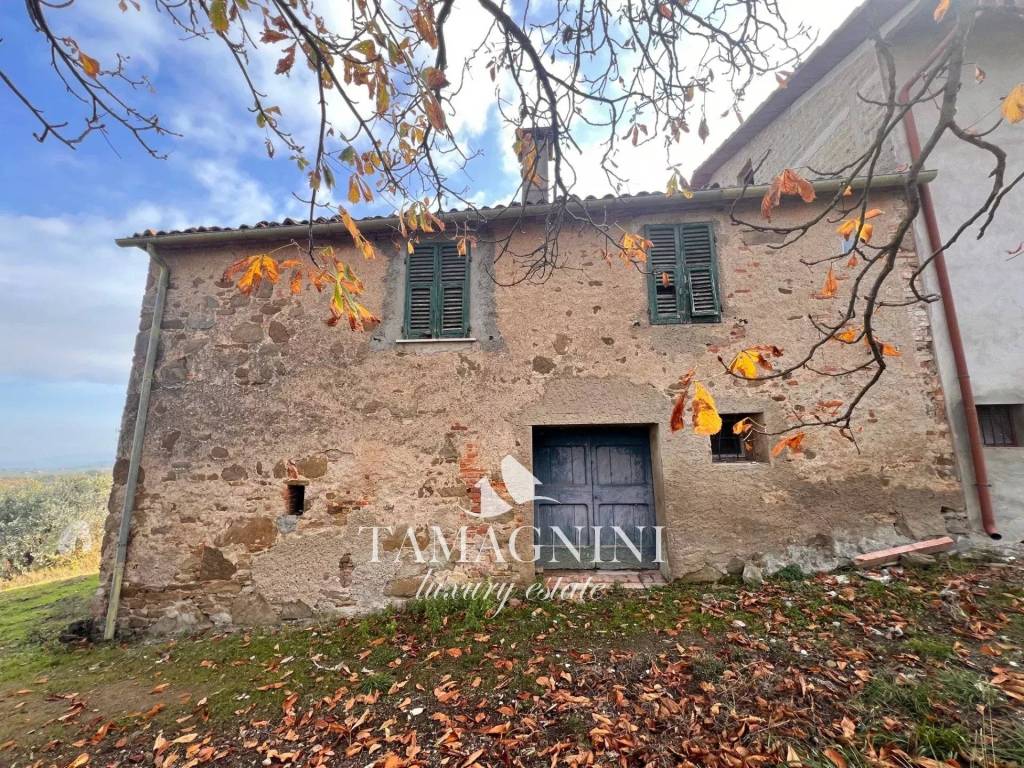 immagine annuncio 2 di 6