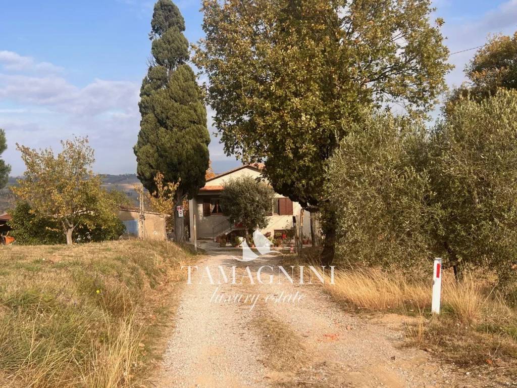 immagine annuncio 3 di 6