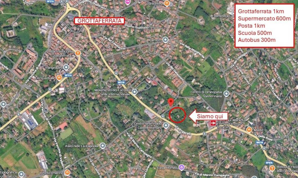 immagine annuncio 11 di 12