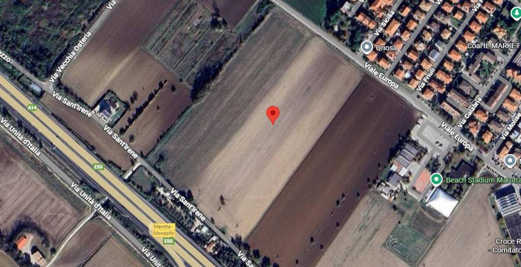 immagine annuncio 3 di 11