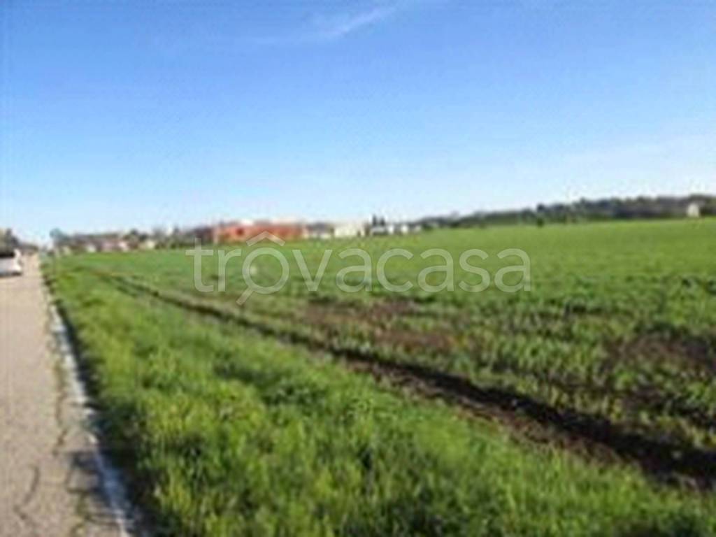 immagine annuncio 8 di 11