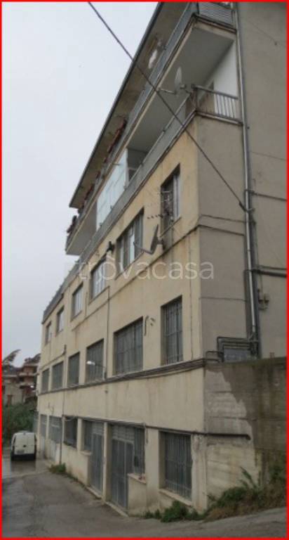 immagine annuncio 2 di 12