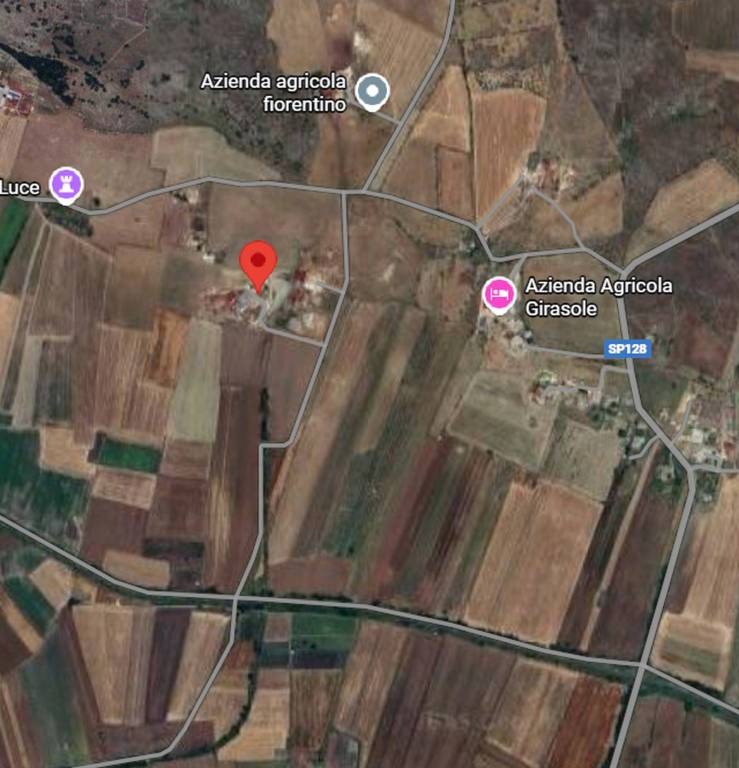 immagine annuncio 3 di 10