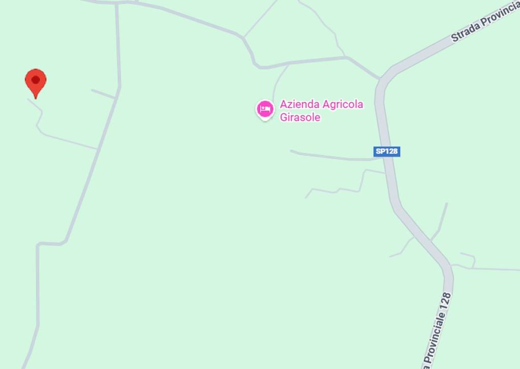 immagine annuncio 6 di 10