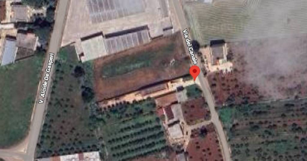 immagine annuncio 9 di 11