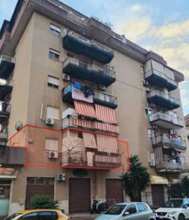 immagine annuncio 5 di 11