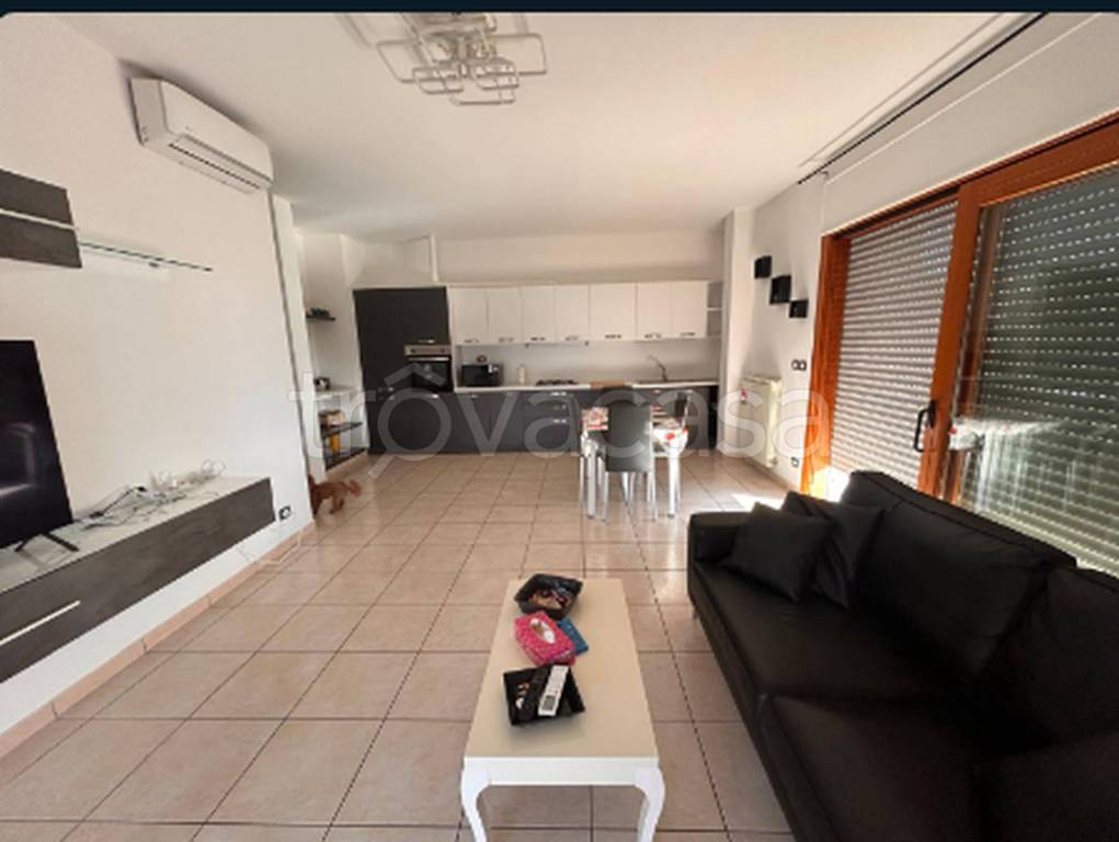 immagine annuncio 2 di 12