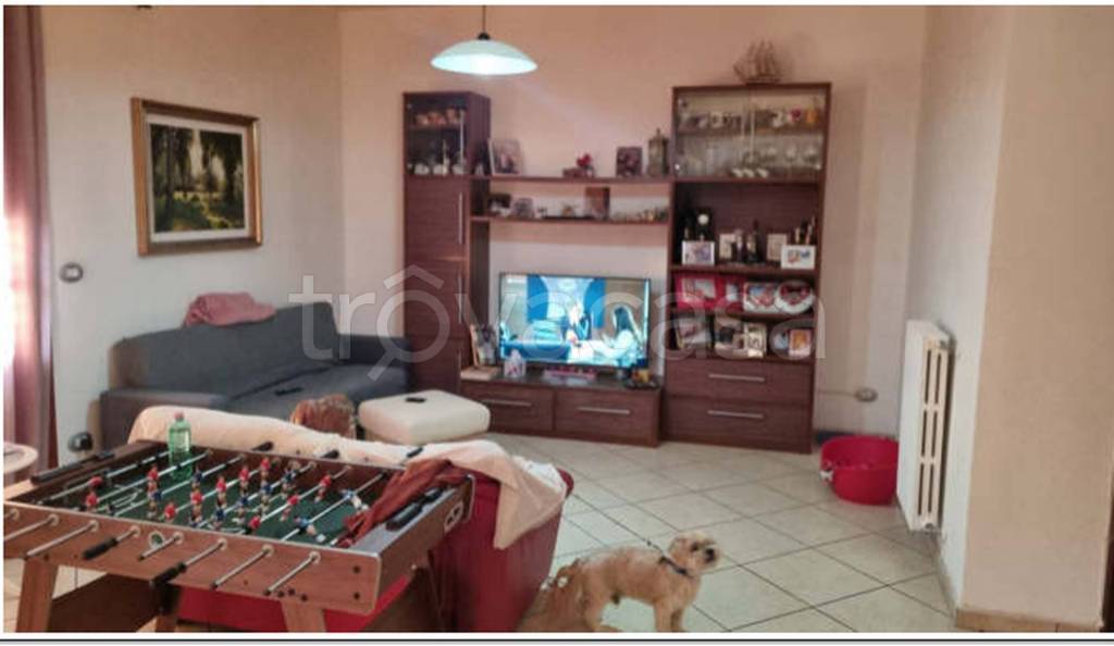 immagine annuncio 3 di 11