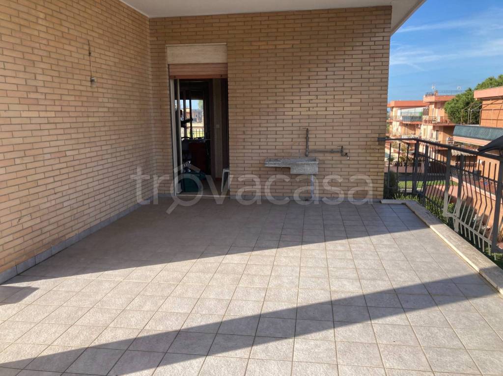 immagine annuncio 4 di 8