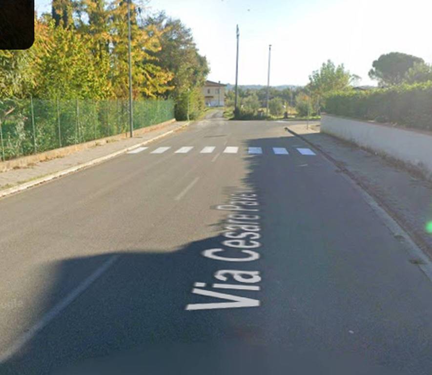 immagine annuncio 5 di 11