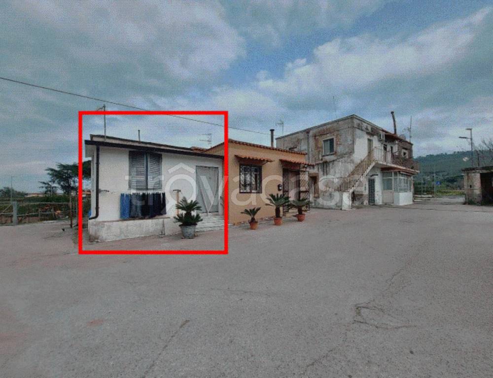 immagine annuncio 9 di 12