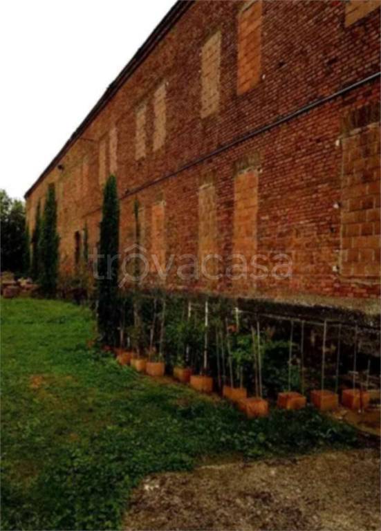 immagine annuncio 4 di 11